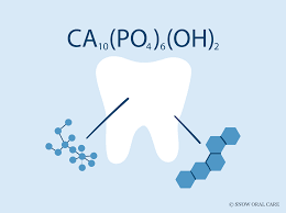 <p>Inorganic mineral salts (≈65%) that give bone its hardness and compressive strength.</p>