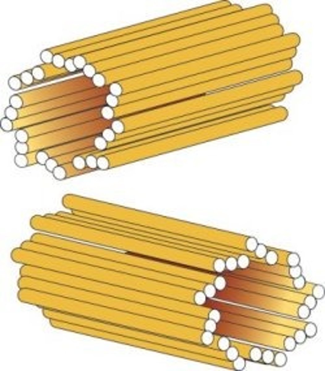 <p>1 centriolenpaar</p>