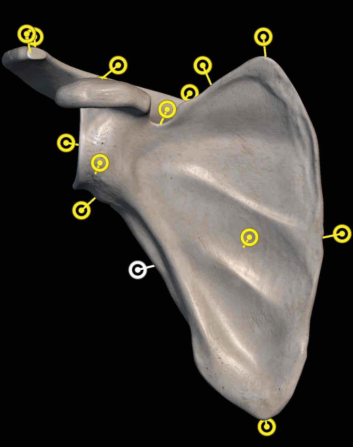 <p>Name the structure </p>