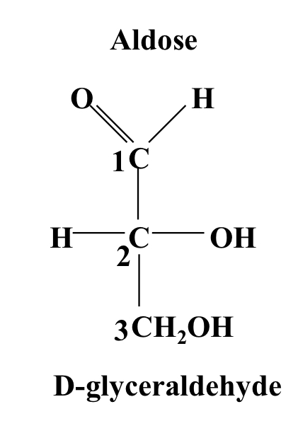 An aldotriose with 3 carbons and ending in a CH₂OH group. Has a chiral central carbon.