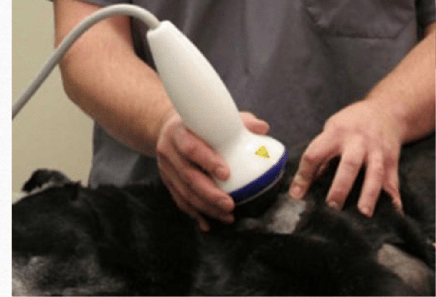 <p>what is extracorporeal shock wave therapy (ESWT)</p>