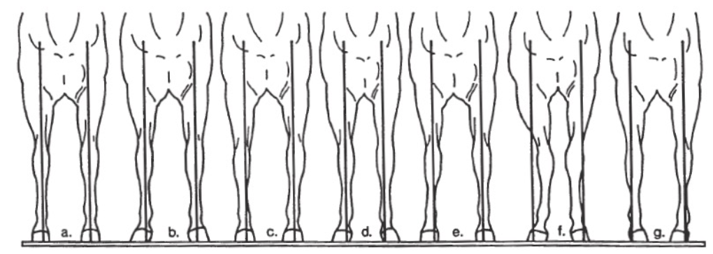 <p>Label this image</p>