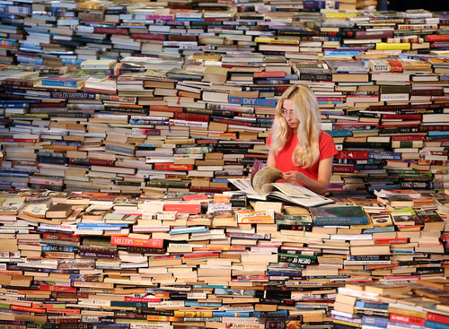 <p>a lover of books</p>