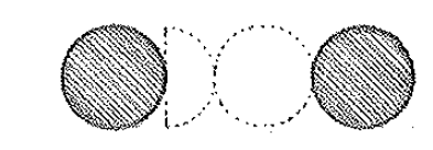 <p>Having an intercolumniation of 1½ diameters</p>