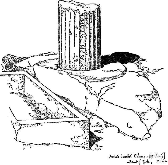 <p>main body of a column</p>