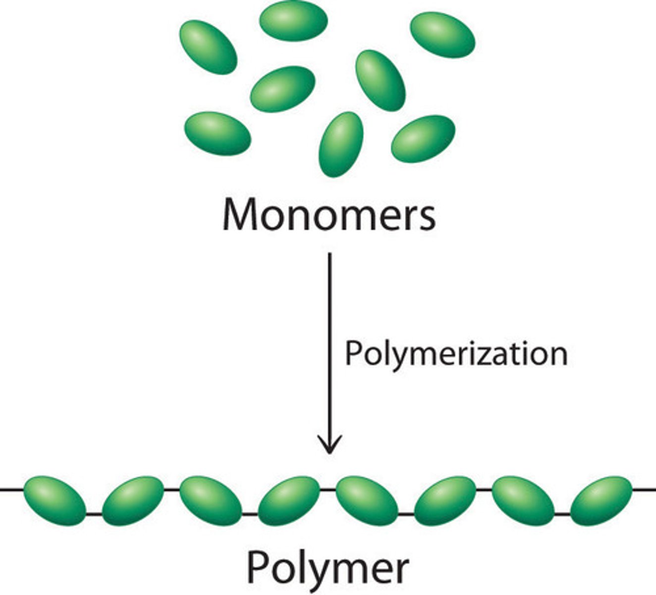 <p>A small compound whose molecules can join together to form polymers</p>