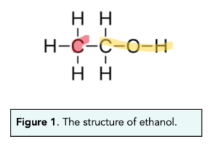 <p>In primary alcohols, the carbon atom bonded to the hydroxyl group is bonded to one other carbon atom.</p><p>Example: ethanol, propan-1-ol.</p>
