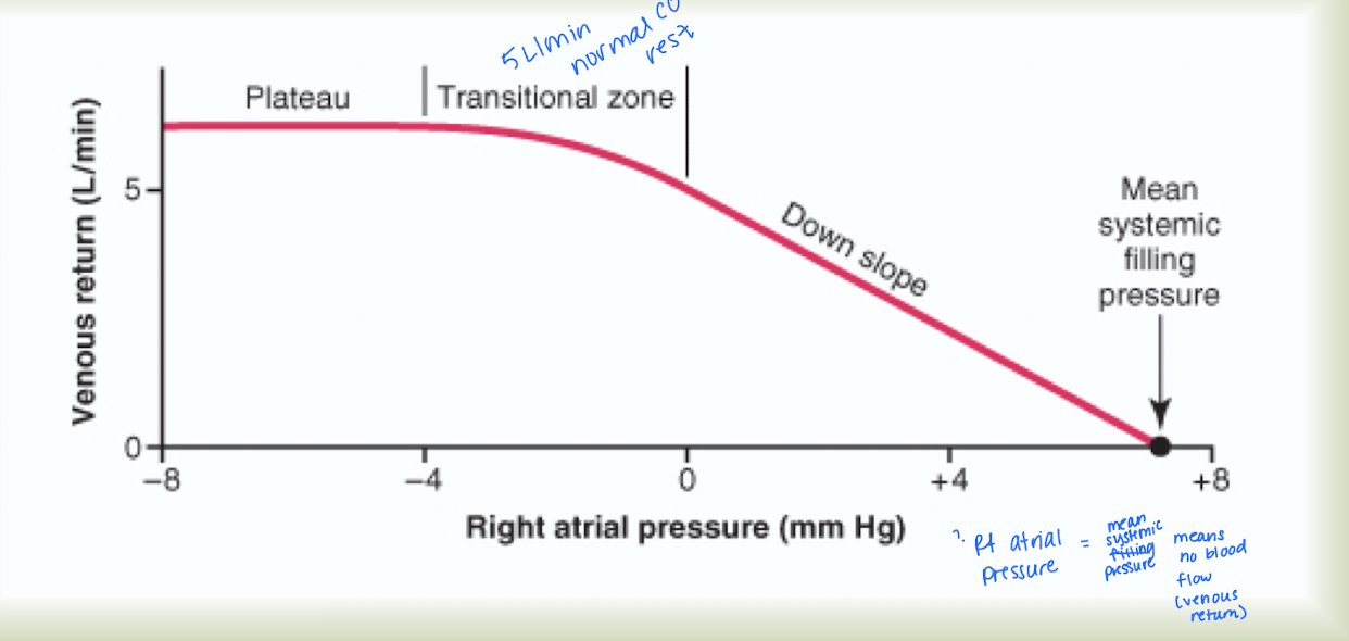 <p>What can be inferred by the graph?</p>