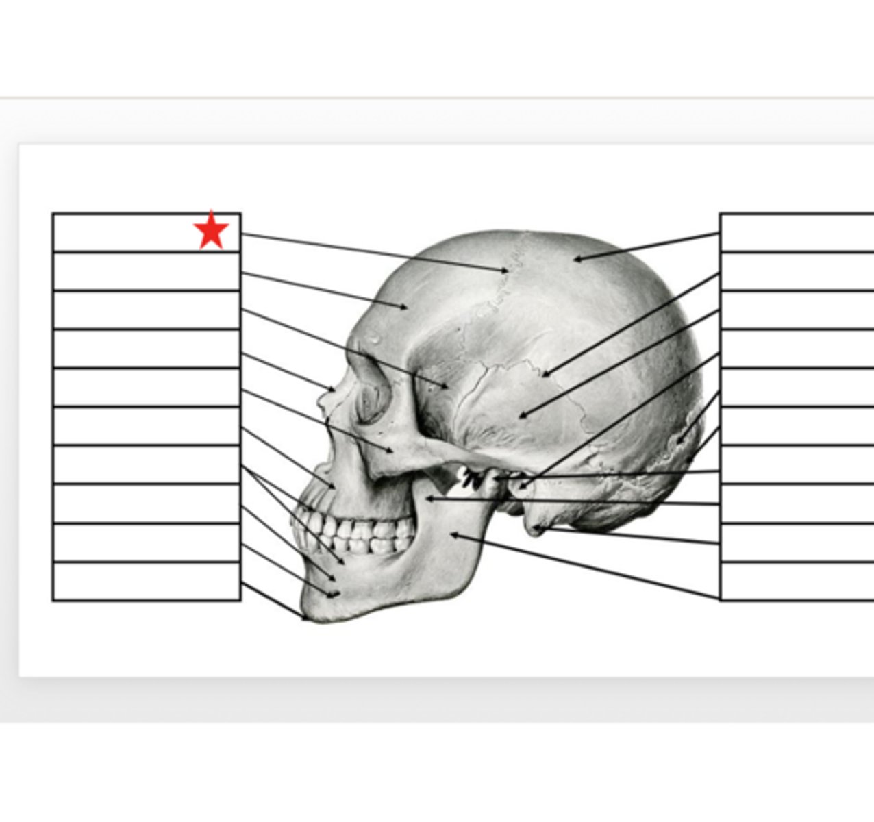 <p>What is this?</p>