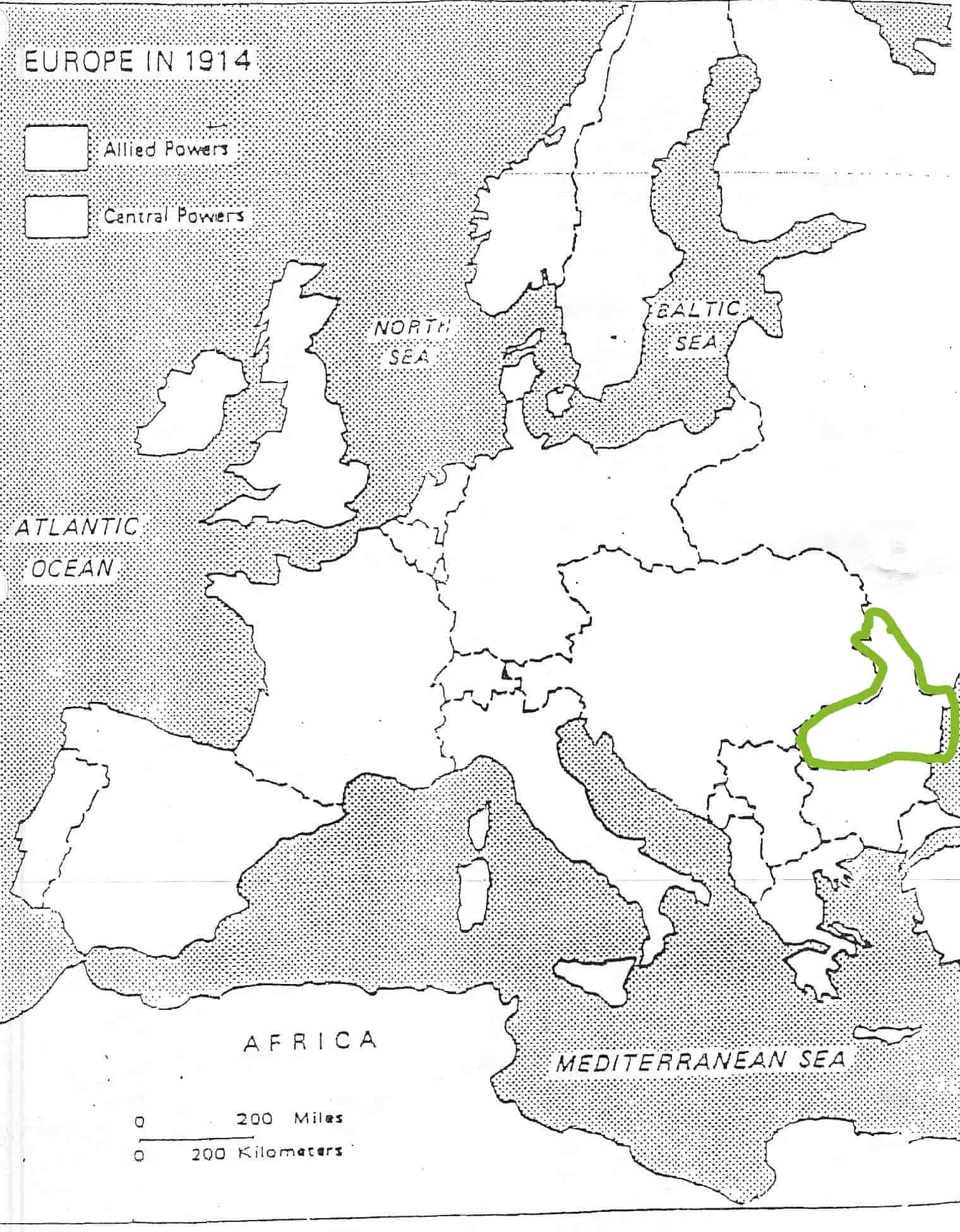 term image