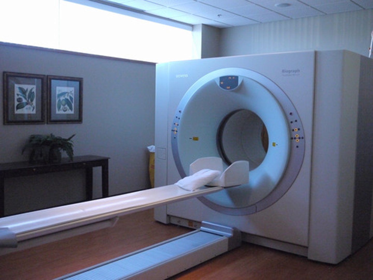 <p>CT Scan</p>