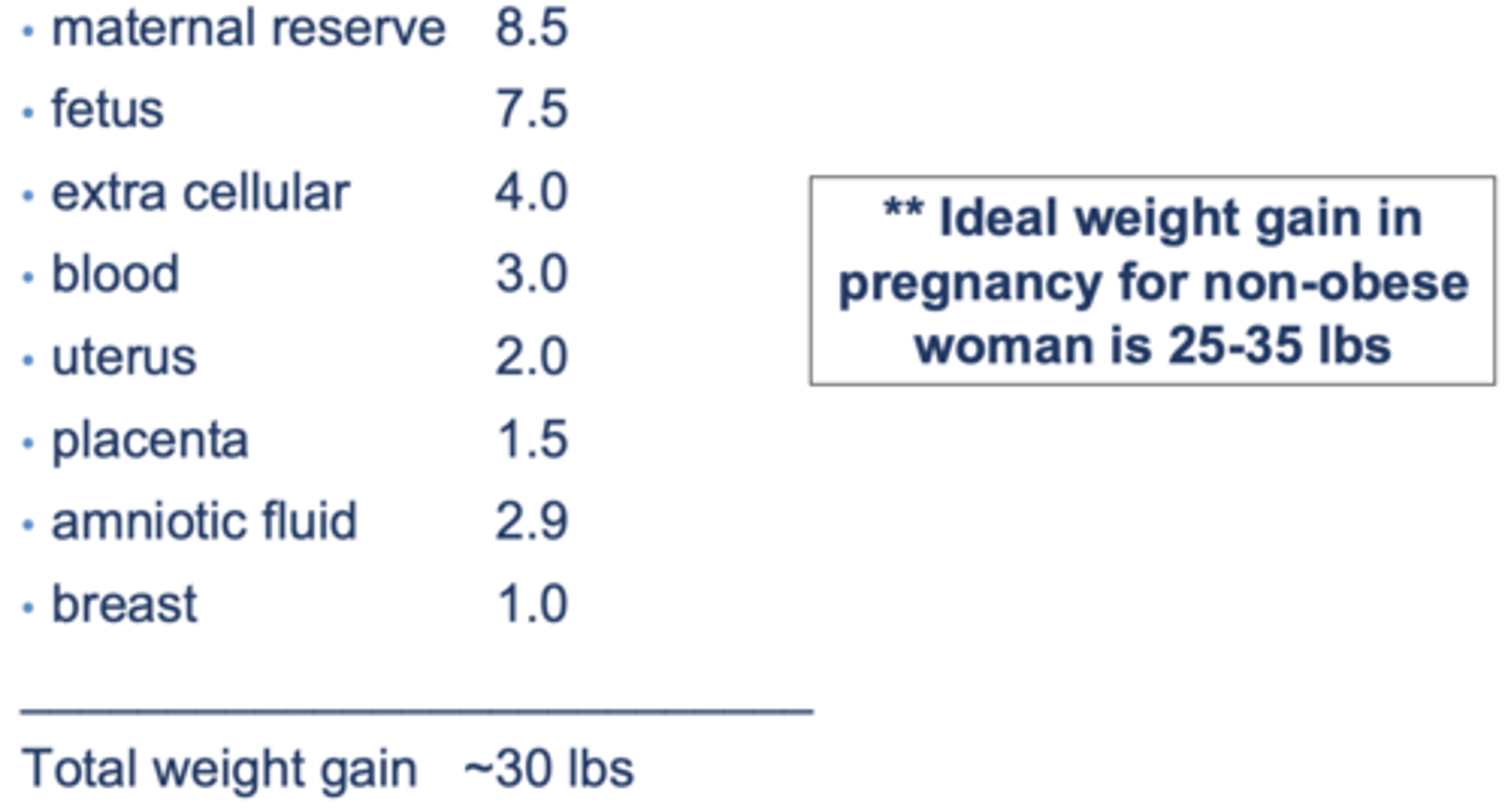 <p>25-35 lbs</p>