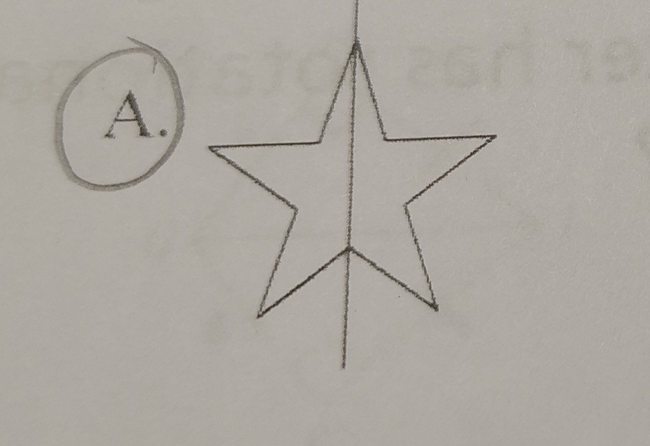 <p>The Star</p>
