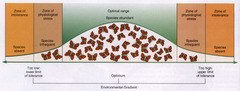The range of an environmental factor where an organism is unable to survive (e.g. too hot/cold, too salty, not enough oxygen, etc)