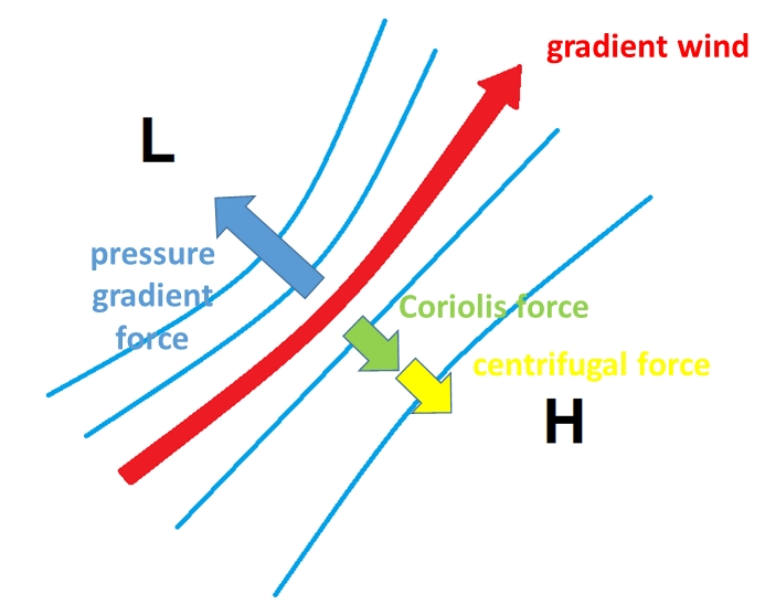 <ul><li><p>Steady horizontal and frictionless</p></li><li><p>Wind blows parallel to <u>curved isobars</u></p></li><li><p>CFF, CF, and PGF are balanced.</p></li><li><p>PGF = CF + CFF</p></li></ul><p></p>