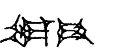 term image