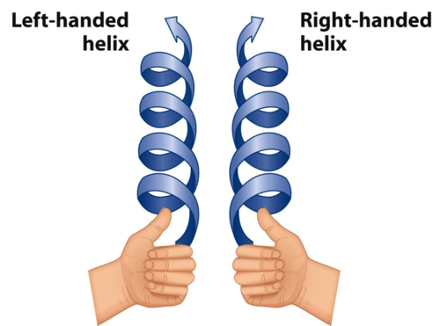 <p>· Compacted spirals</p>
