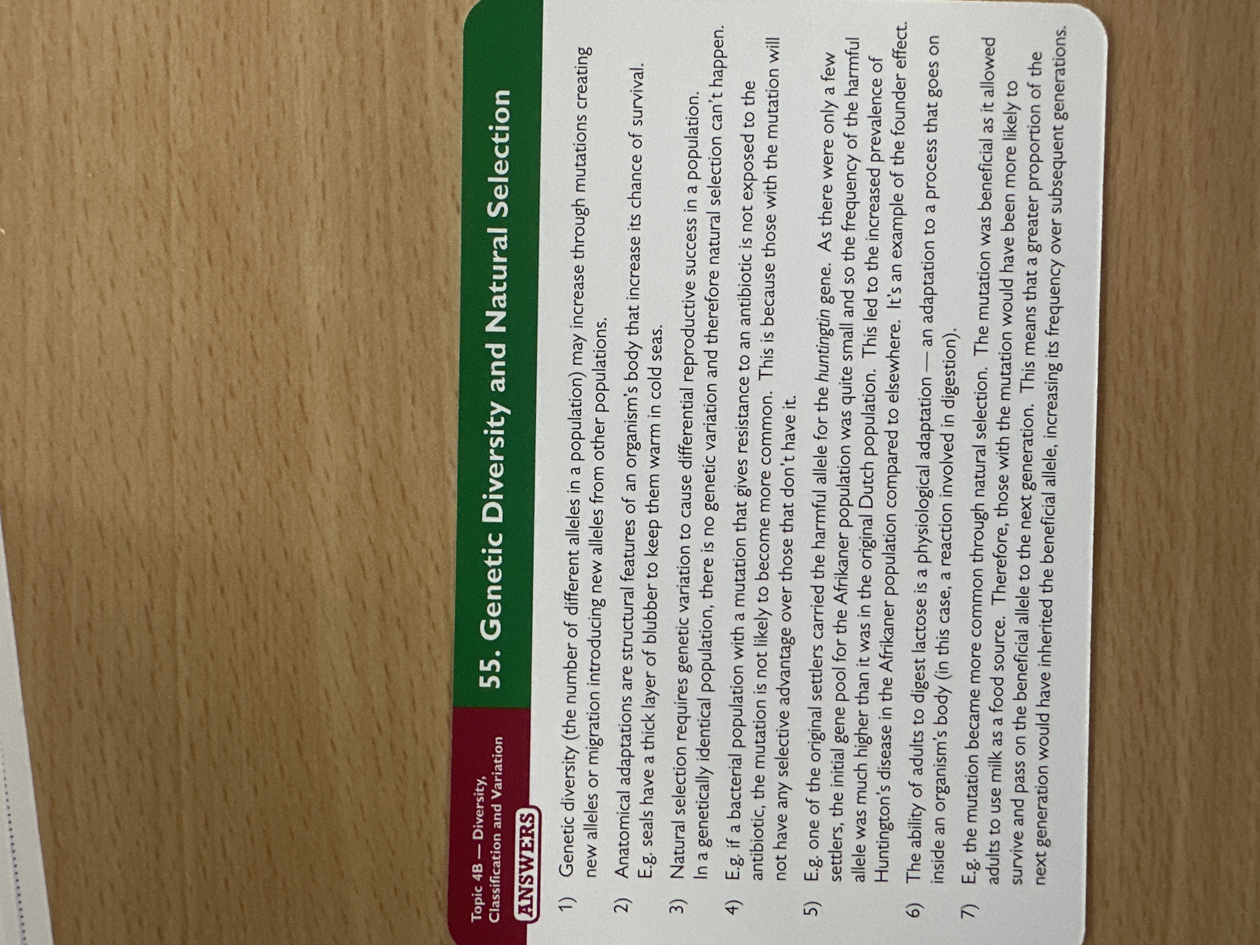 knowt flashcard image