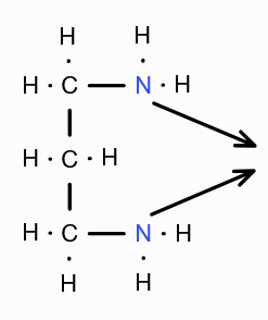<p>What is this structure called?</p>