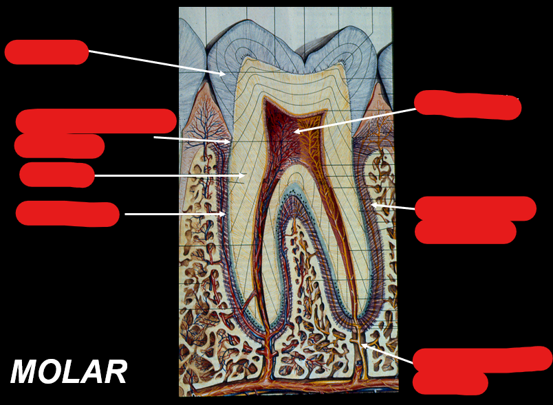 <p>Identify the components in this figure</p>