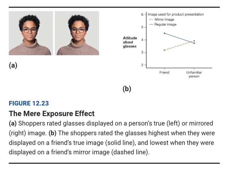 <p>seeing mirrored versions of themselves bc that’s what they see in the mirror</p>
