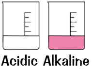 <p>Acidic: <strong>colourless</strong></p><p>Alkaline: <strong>bright pink</strong> </p>