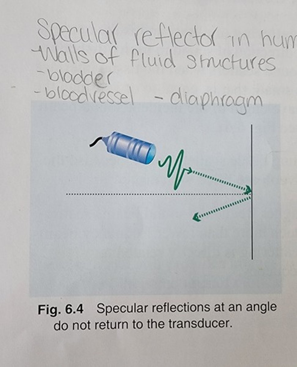 <p>the reflection doesn't return to the transducer.</p>