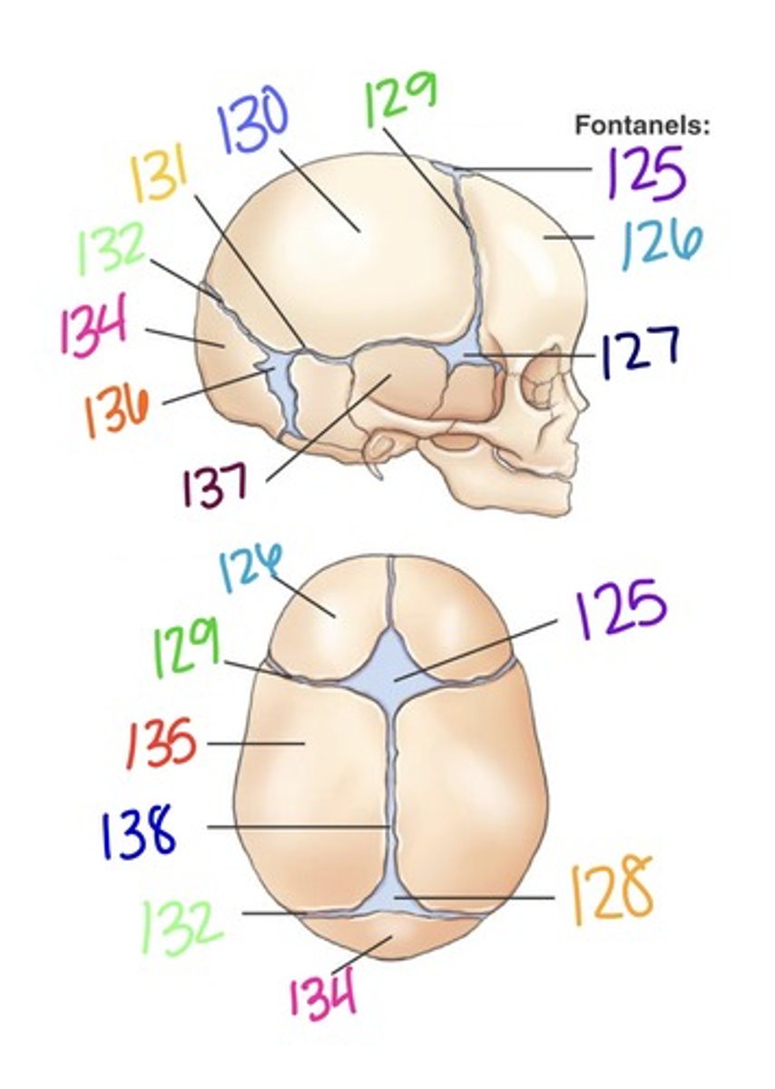 <p>132.</p>