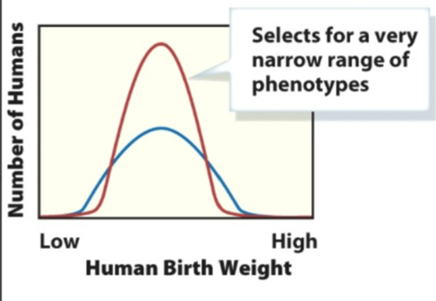 <p>birth weight (mid-range babies are more favored)</p>