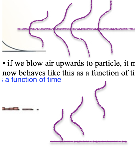 <p>• more evidence organism collects over time, more accurate its decision becomes over time</p><p>• Individual accumulates evidence over time until threshold is met</p><p>• like dust particle in air is bouncing around because it hits other particles in the air, more molecules means more hit rate look at diffusion and trajectory of dust particle, we see inverted Gaussian distributions</p><p>• if we blow air upwards to particle, it moves upward as  well, introducing a current to particle, now behaves like this as a function of time</p>