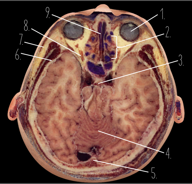 <p>4?</p>