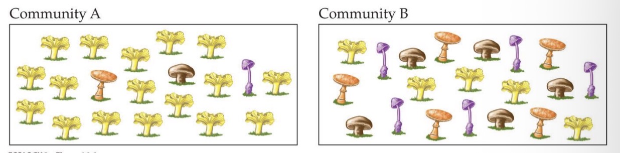 <p><span><span>Which of these communities would you consider to be more diverse?</span></span></p>