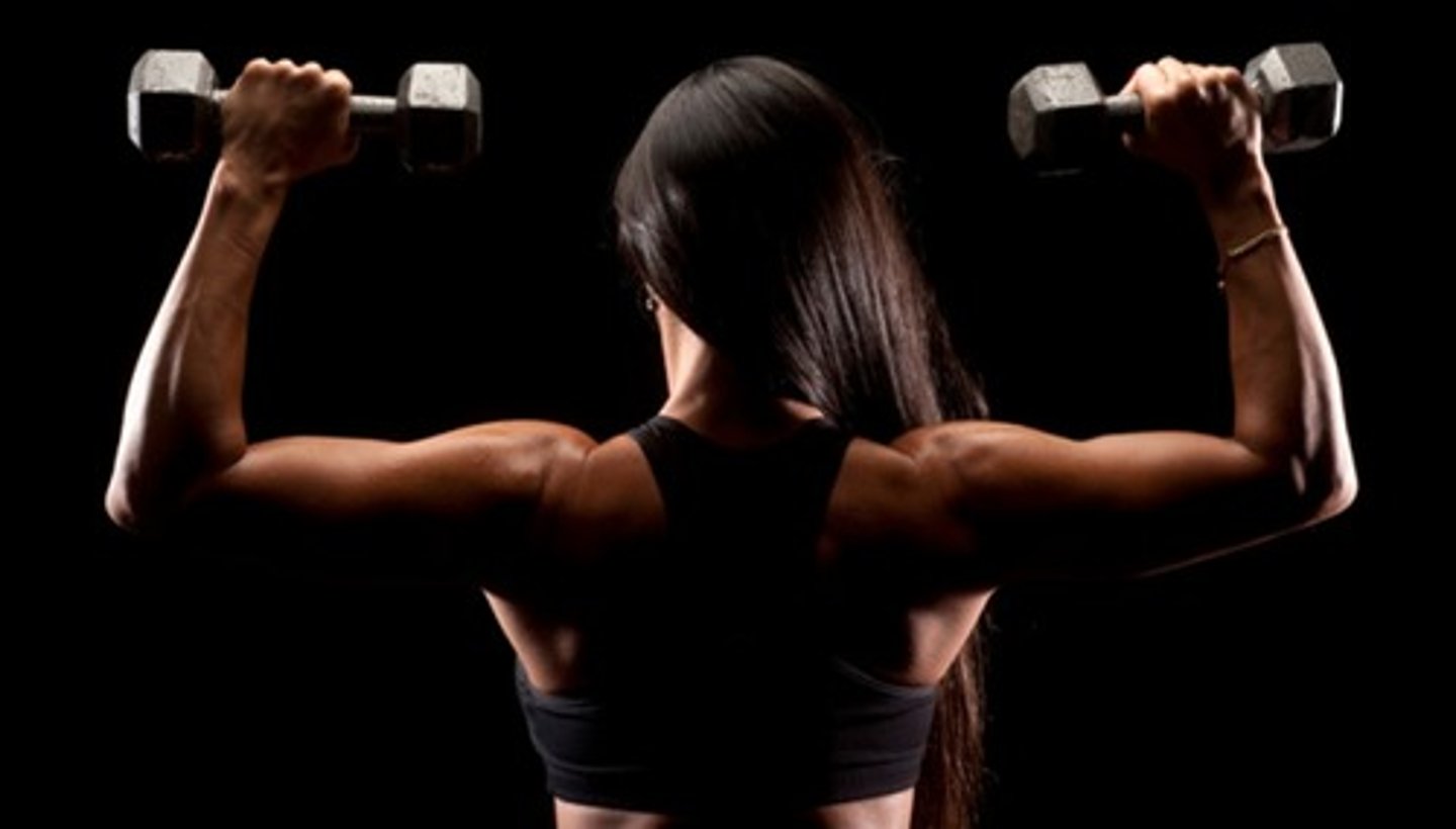 <p>sollevare pesi</p>