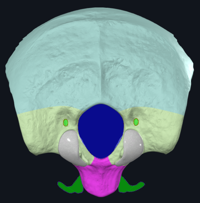 term image