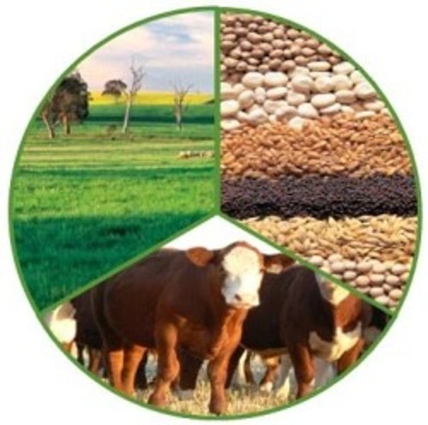 <p>Farming of both crops and animals - animal waste may be used as fertiliser and to improve soil quality, and some crops are used to feed animals</p>