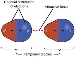 <ul><li><p>attraction between 2 instantaneous dipoles</p></li><li><p>Asymmetrical electron distribution possible at any point</p></li><li><p>All atoms and molecules</p></li><li><p>Weakest intermolecular force</p></li><li><p>Increase in strength as molar mass increases</p></li></ul><p></p>