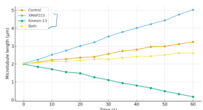 <p>mt growth in vitro is controlled by different MT binding proteins. which of the following statements is best supported by the data? </p>