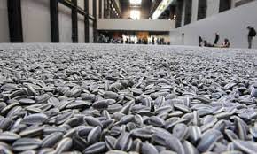 <p>Sunflower Seeds</p>