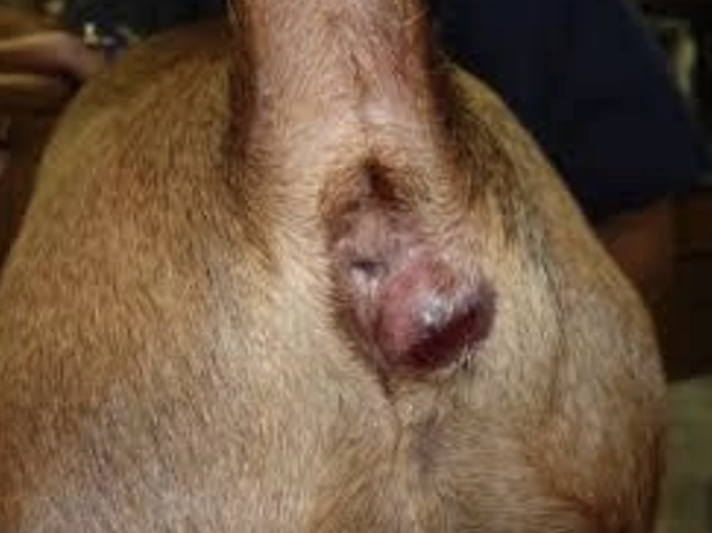 <p>What is this?</p>