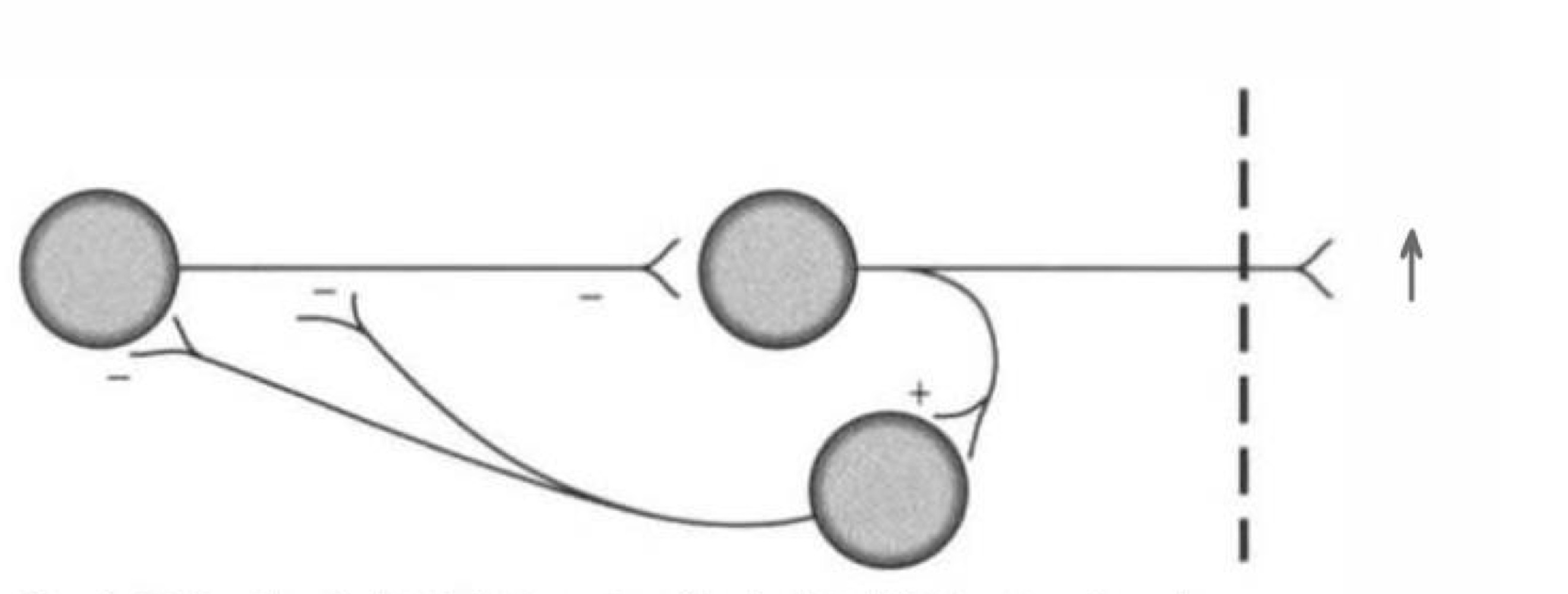 <p>what type of connection is this </p>