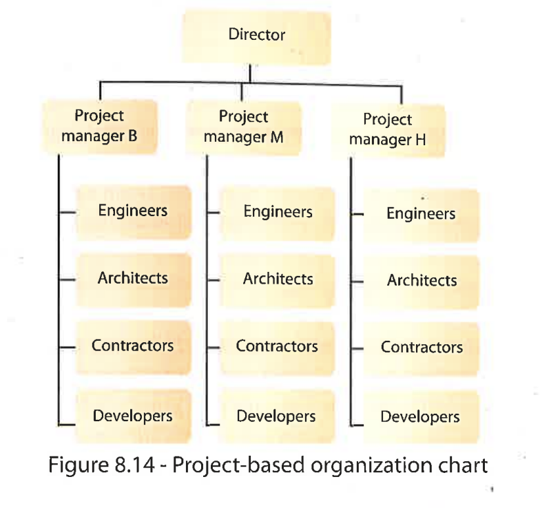 <p>Project based organization</p>