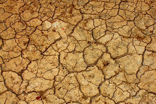 a dry climate