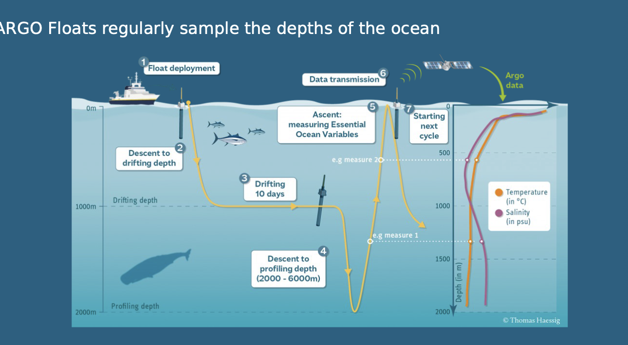 <p>Launched from ships to drift around the surface, descend to 1000m and then 2000m, measuring temperature changes and sending data back to satellites. </p><p>Ocean heat content anomalies + uncertainties by depth </p>