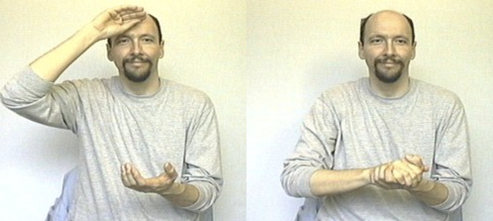 term image