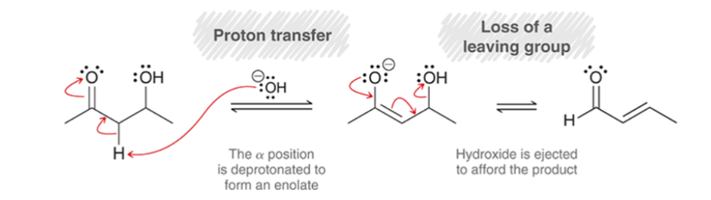 <p>Elimination of H<sub>2</sub>O</p><ol><li><p><strong>Proton Transfer: </strong>The α position is deprotonated to form an enolate.</p></li><li><p><strong>Loss of Leaving Group: </strong>Hydroxide is ejected to afford the product.</p></li></ol><p></p>