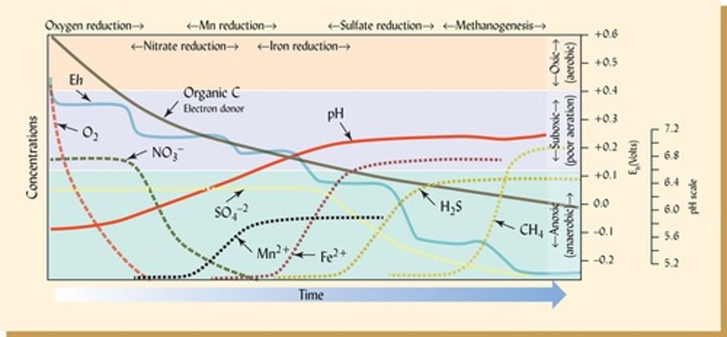 <p>Eh (redox potential) and aeration conditions.</p>