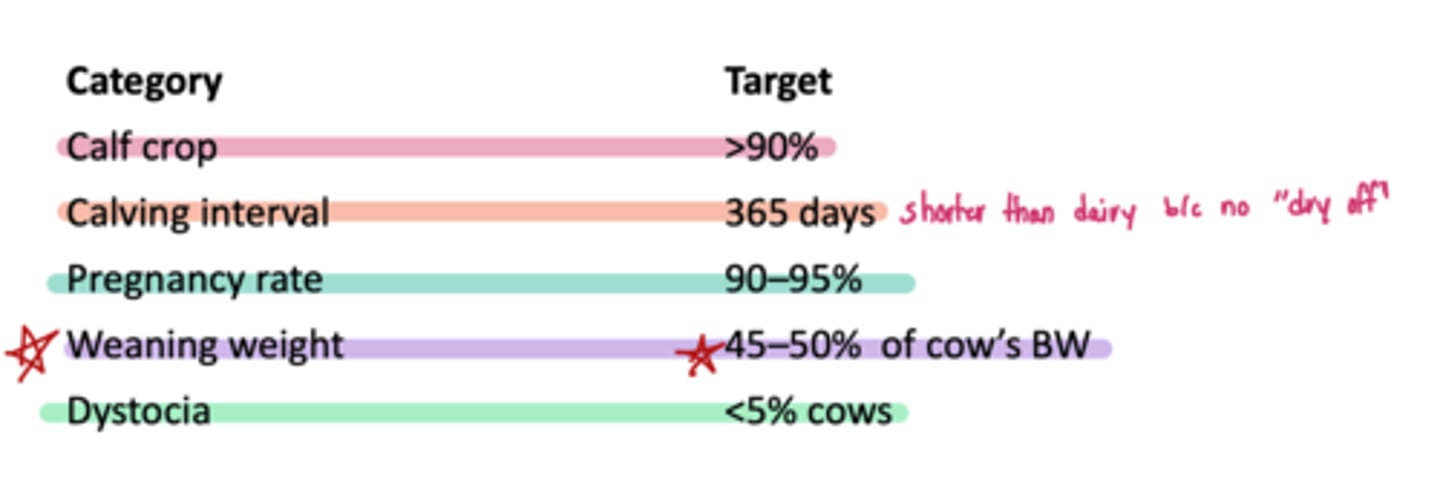 <p>deviations from key performance indicators indicate...</p>