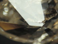 <p>What blemish is this?</p>