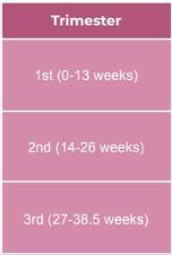 <p>27 weeks to the end of pregnancy or <u>27 to 38.5 weeks</u></p>