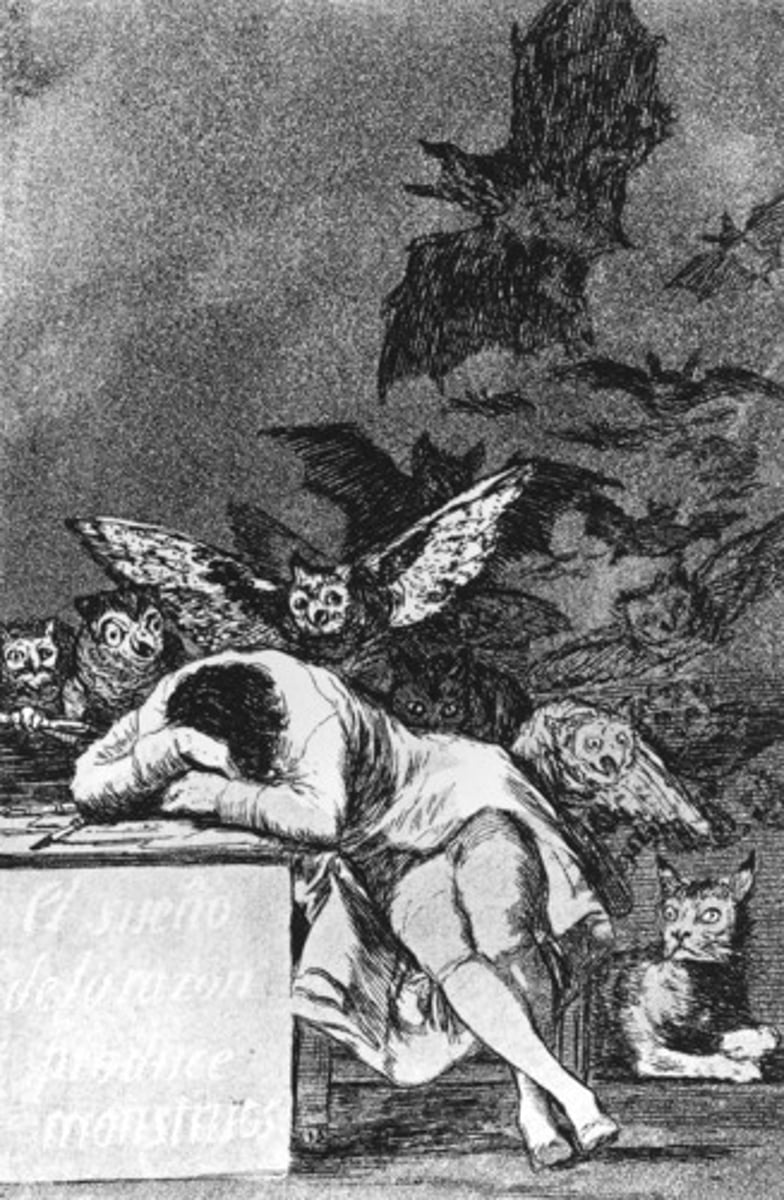 <p>vosotros dormíais</p>